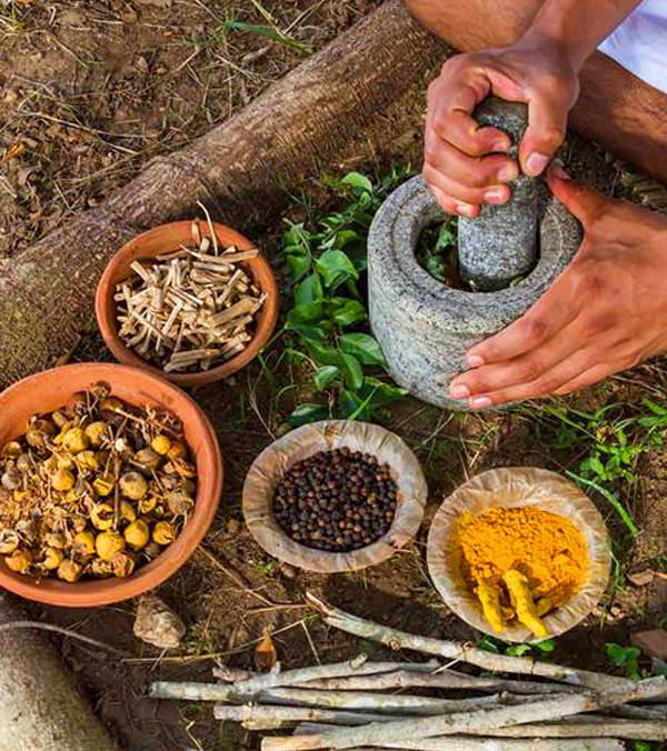 ayurveda-ingredients